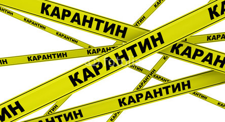 Карантин у Дубні завершено
