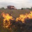 Спалювання опалого листя та сухої трави – шкідливо!