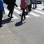 Автогонщики перекриватимуть трасу Киів-Чоп