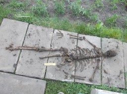 НА ПОДВІР'Ї ДУБЕНЧАНКИ ВИЯВИЛИ СКЕЛЕТ