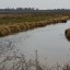 БЕЗВІСТИ ЗНИКЛУ ДУБЕНЧАНКУ ЗНАЙШЛИ МЕРТВОЮ У ВОДОЙМІ