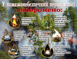 Необережне поводження з вогнем є причиною масштабних пожеж в екосистемах!