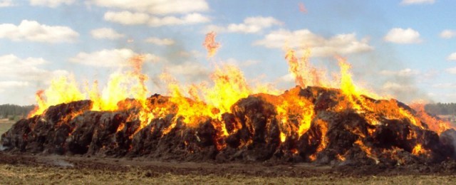 Палив солому та обгорів