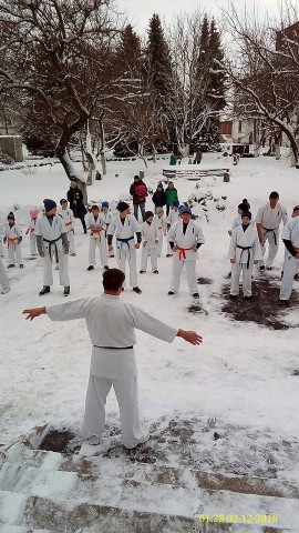 Збір кіокушин карате відбувся в Дубні