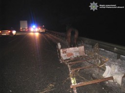 Нетверезий чоловік на гужовому транспорті - спричинив аварію