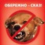 На Дубенщині знову виявлено сказ