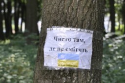У міській раді нарешті поговорили про прибирання Дубна