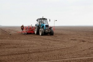 На Дубенщині розпочали посів вівса