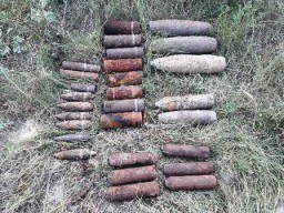 На Дубенщині знайшли вибухонебезпечні предмети часів Другої світової війни
