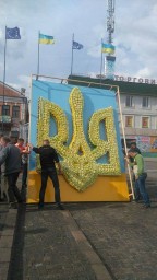 "Солодкий тризуб" став родзинкою свята в Дубні