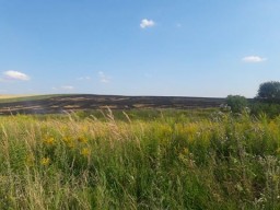 Палія притягнуть до адміністративної відповідальності