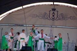 Як відсвяткували День молоді в Дубні