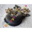 Стоишь в пробке? Возьми спиннер, игрушка-антистресс Fidget Hand Spinner 16 Стоишь в пробке? Возьми спиннер, игрушка-антистресс Fidget Hand Spinner 16