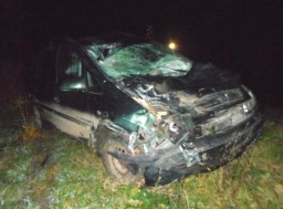 На Млинівщині водій авто збив гужову підводу