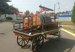 Дубенські рятувальники створили витвір пожежного мистецтва