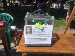 На дитячому святі зібрали майже 11 тисяч благодійних гривень