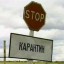 У двох селах Дубенщини знято карантин