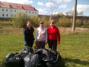 У Дубні організували День благоустрою