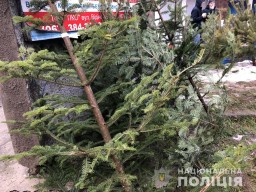 Купувати ялинку можна лише зі штрих-кодом