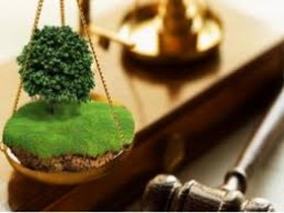 Суд повернув державі земельну ділянку, яка знаходиться у центрі Дубна