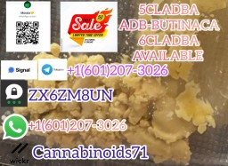 5cladba Yellow Cannabinoid Powder 5cladbb 5fadb Threema_ZX6ZM8UN