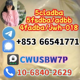 Raw Material 5cl 5cladba Precursor Raw 5cl-adb-a Adbb Best Supplier(+85366541771)