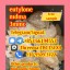 Freesamples,+85366194553,5cladba,eutylone,EUTYLONE,3mmc,mdma,2fdck,4mmc,3cmc,apvip,2mmc