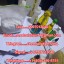 Buy K2 Paper Sheets Spray/Buy K2 Spray Liquid/Buy 5fadb,Buy 5cladba/Buy adb-butinaca/Buy jwh-018 0