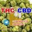 THC THC-P HHC CBD HHC-P THC-B THC-H Sativex Nabiximols 0 THC THC-P HHC CBD HHC-P THC-B THC-H Sativex Nabiximols 0