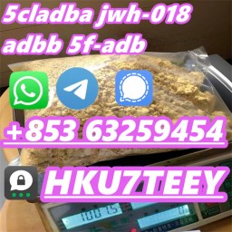 5cladba,CAS:2709672-58-0,High quality products(+853 63259454)
