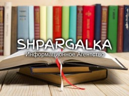 Разработка стартапа для дипломной работы на заказ в Украине