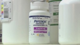 Zdravilo Percocet – Zanesljivo lajšanje bolečin že danes Zdravilo Percocet – Zanesljivo lajšanje bolečin že danes