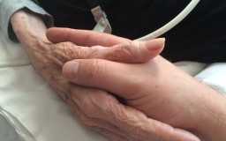 pentobarbital kopen nembutal bestellen h.guts429@8alias.com makkelijkste zelfmoord nembutal kopen