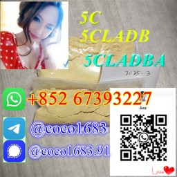 5cladba adbb Precusor 5C