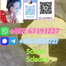 5cladba 5cl 5cladba adbb precursors 5cl-adb Quick delivery