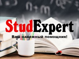 Купить подраздел отчета по практике в Украине