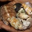 + 256702530886 , WIN COURT CASE SPELLS , LOST LOVE SPELL CASTING ,