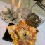 WIN COURT CASES SPELLS  Lost Love spells+256776717197How to stop your divorce separation from happen