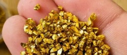 Raw Gold Nuggets For Sale + 256776717197 Buy Pure Gold Bars - Gold Nuggets For Sale Raw Gold Nuggets For Sale + 256776717197 Buy Pure Gold Bars - Gold Nuggets For Sale