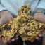 Gold Nuggets For Sale  + 256702530886 gold bars,gold dust, nuggets for sale in dubai,saudi arabia