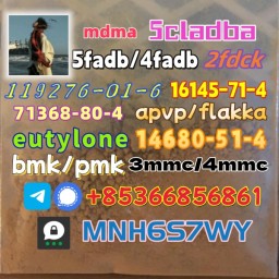 Safe delivery CAS 119276-01-6 14680-51-4 hot sale