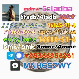 Safe delivery CAS 119276-01-6 14680-51-4 hot sale