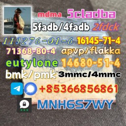 Safe delivery CAS 119276-01-6 14680-51-4 hot sale