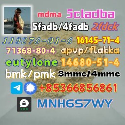 Safe delivery CAS 119276-01-6 14680-51-4 hot sale