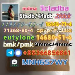 Safe delivery CAS 119276-01-6 14680-51-4 hot sale