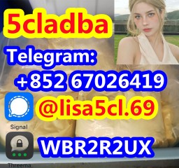 5cladba Raw Material 5CL-ADB-A Precursor Raw 5cladba 5f Adb