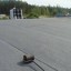 Кровельные Работы Днепр любой сложности 1