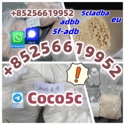 asdas
