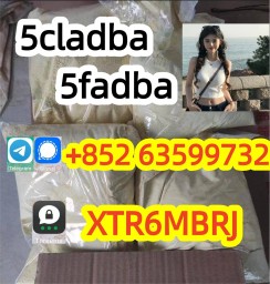 5cladba raw material 5CL-ADB-A precursor raw