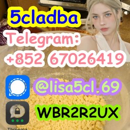 Strongest 5cladba Raw Material 5CL-ADB Precursor(+852 67026419)
